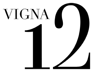 vigna-12-logo-portamagna-vini-di-puglia