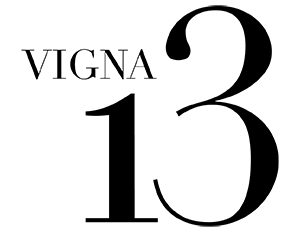 vigna-13-logo-portamagna-vini-di-puglia